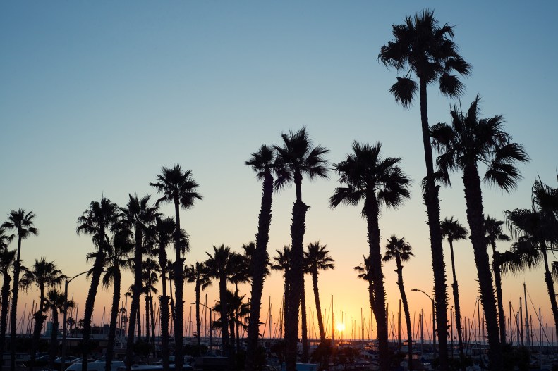 38-Last-Light_VivianLinPHOTO