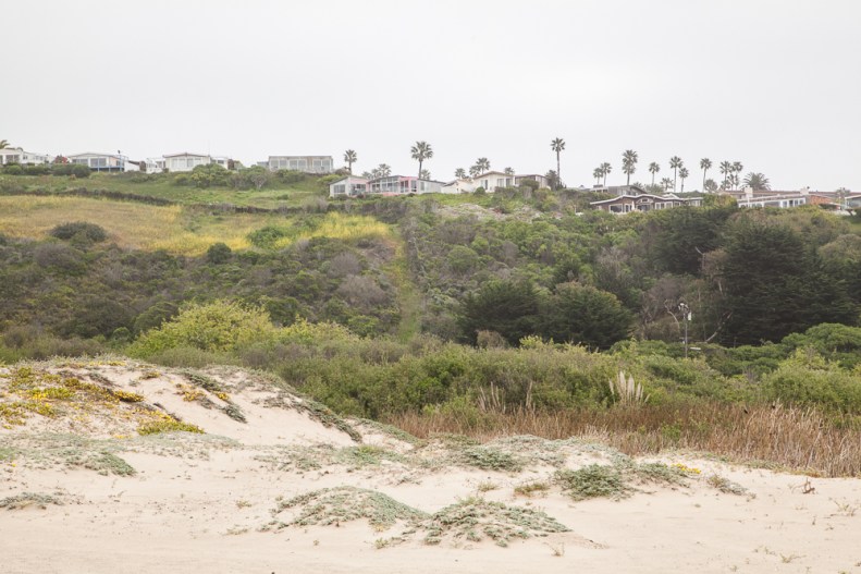 Malibu_VivianLinPHOTOGRAPHY-2