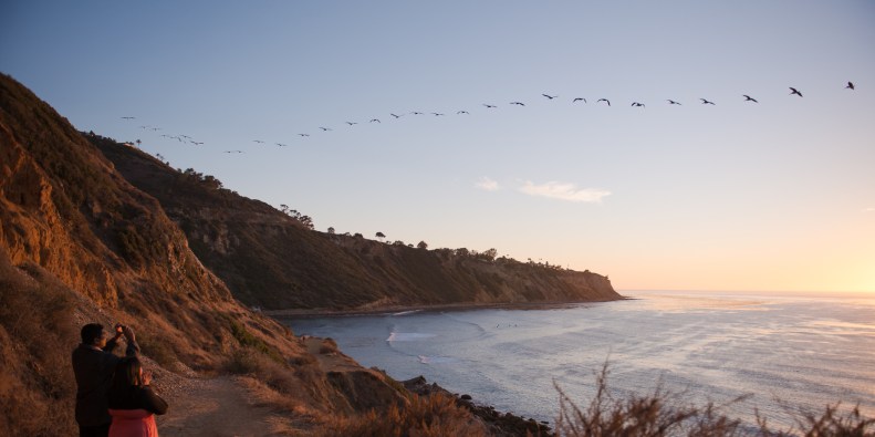 63_SA_Vivian Lin PHOTO-5139