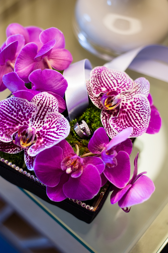 13_TB_Vivian Lin PHOTO-8853