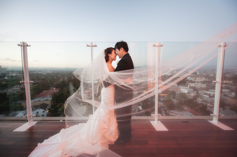 Beverly Hills Rooftop-Vivian Lin Photo