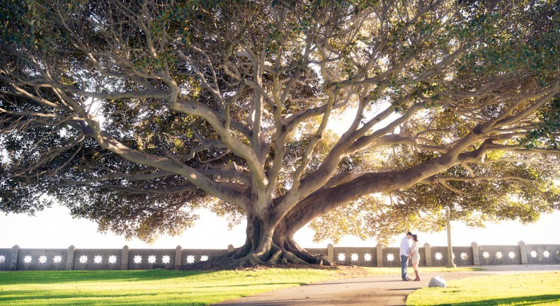 Palos Verdes Engagement Session