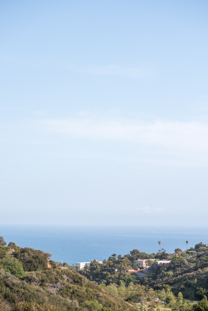 Erika & Rich Engagement