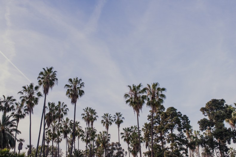 Los Angeles Engagement_SF_Vivian Lin Photo_7384