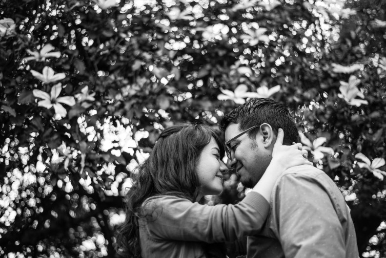 Los Angeles Engagement_SF_Vivian Lin Photo_7464