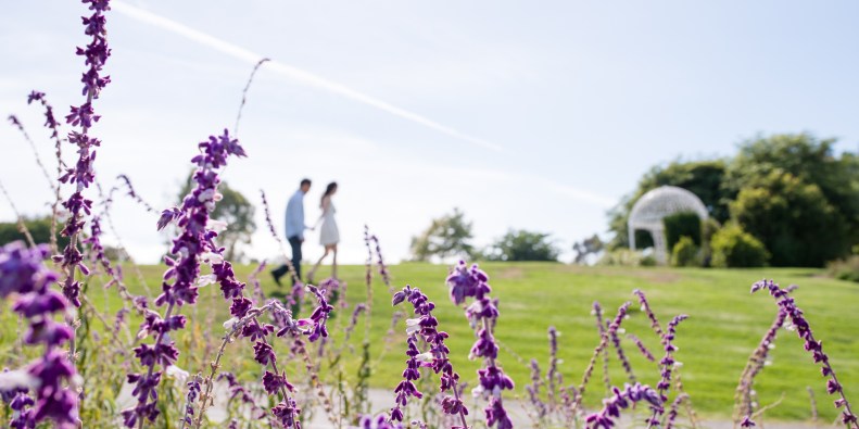 Palos Verdes_SM_Vivian Lin Photo_069963