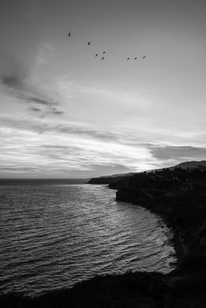 Palos Verdes_SM_Vivian Lin Photo_190310