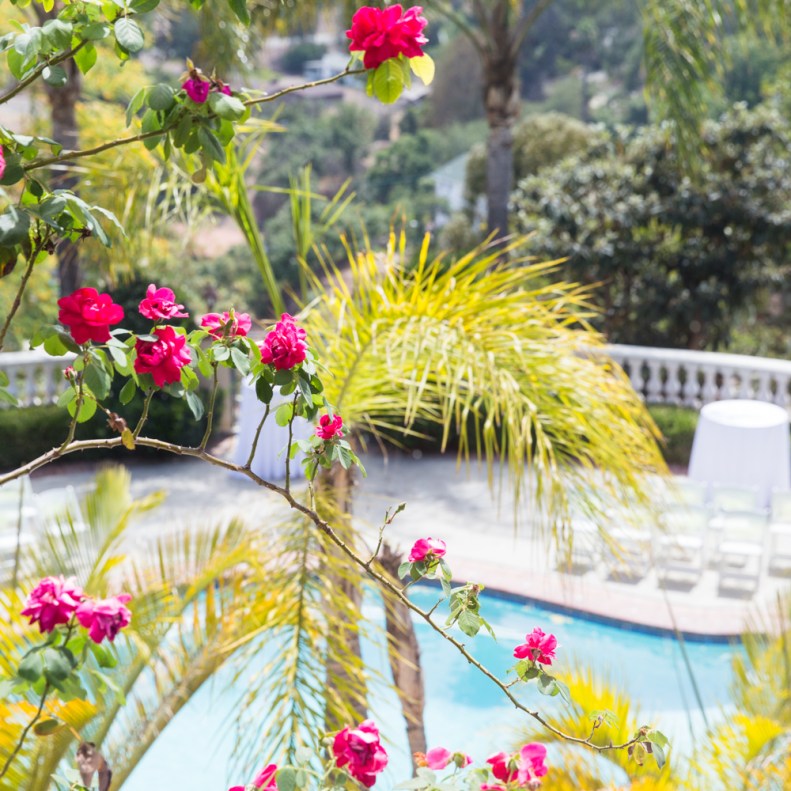 49 Vista de Oro_CT_Vivian Lin Photo_39