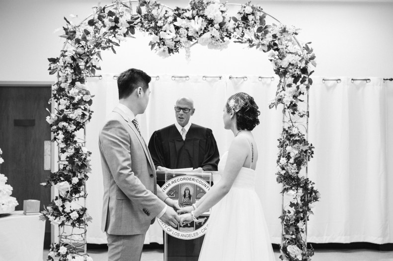 Beverly Hills Courthouse_Vivian Lin Photo_10