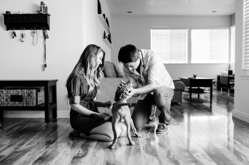 Doggie Days_NatWillHunter_Vivian Lin Photography_05