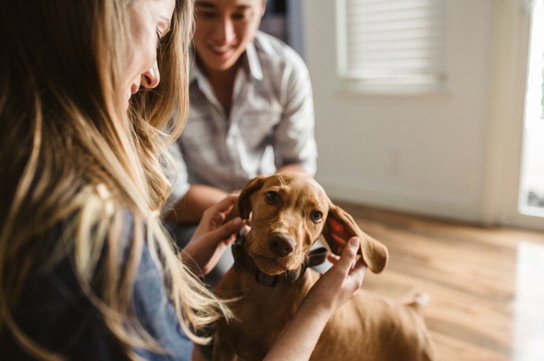 Doggie Days_NatWillHunter_Vivian Lin Photography_06