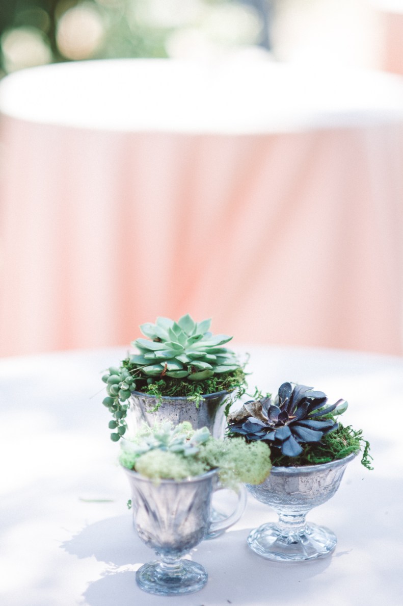 SFV Backyward Wedding_SF_Vivian Lin Photo_166