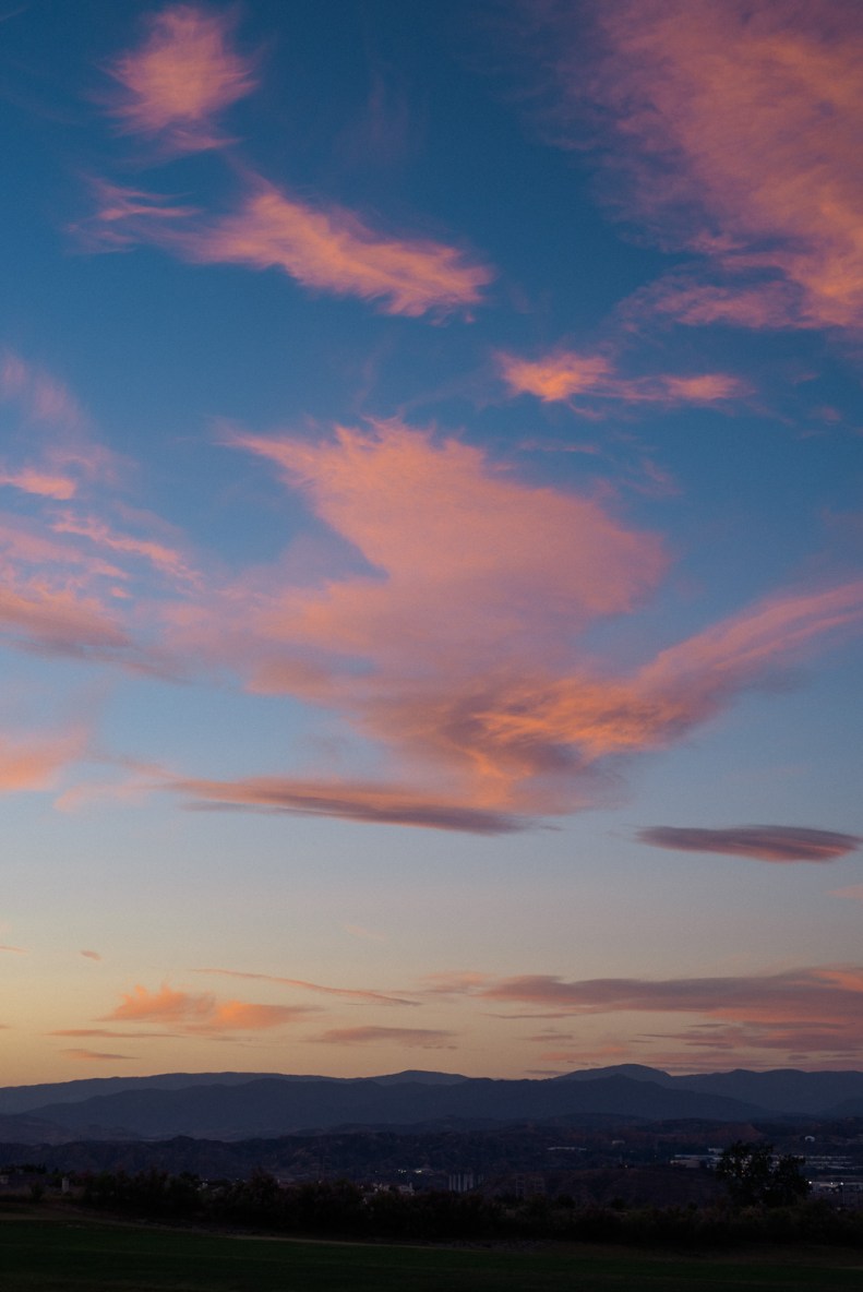 TPC Valencia Wedding_Vivian Lin Photo_073