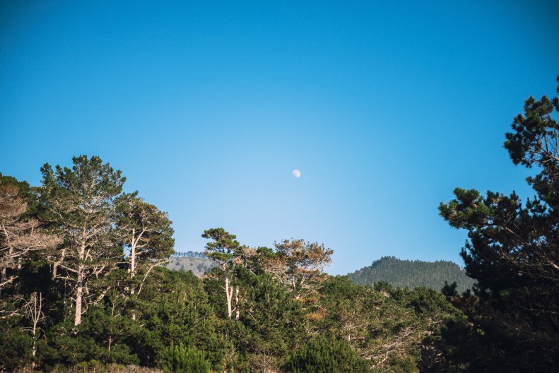 Carmel Engagement_G&T_Vivian Lin Photo-98